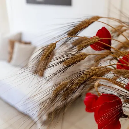 Tenuta Chimeta - Peace Retreat